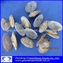 Frozen cooked white clams